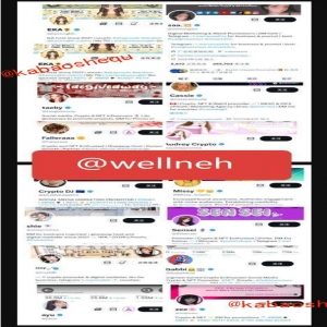 <strong>咖宝社区荣登以色列媒体发稿宣发平台</strong>